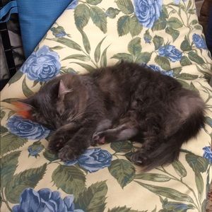 Thanks for stopping by 🍯🍯🍯